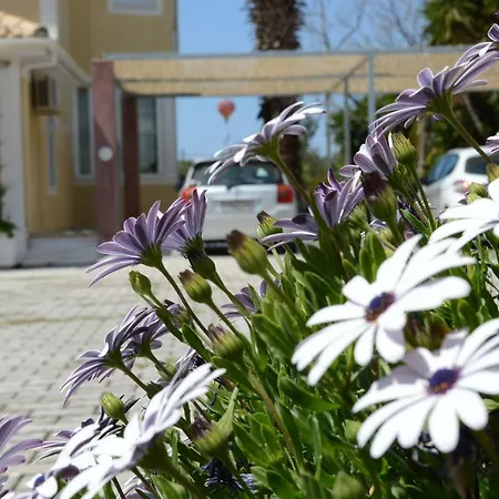 Apartment Acqui *
